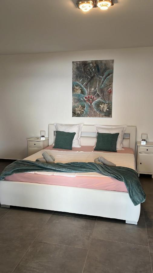 דירות Vila Sani קריקווניצה מראה חיצוני תמונה